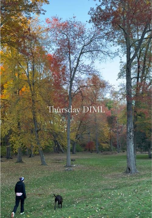 Post by notkyliekitt