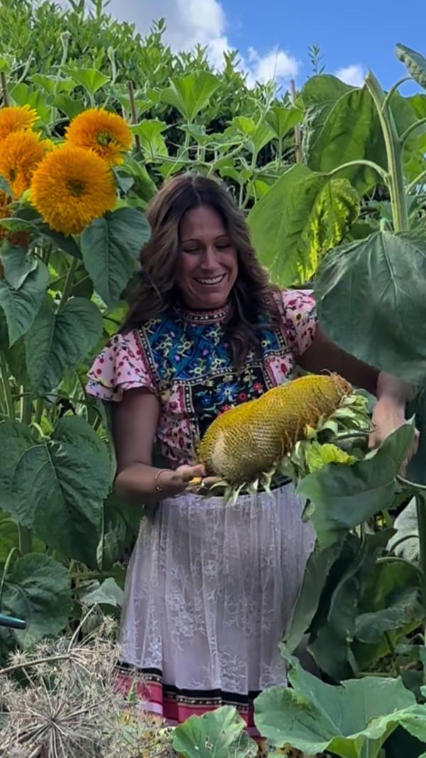 Post by augusts_garden