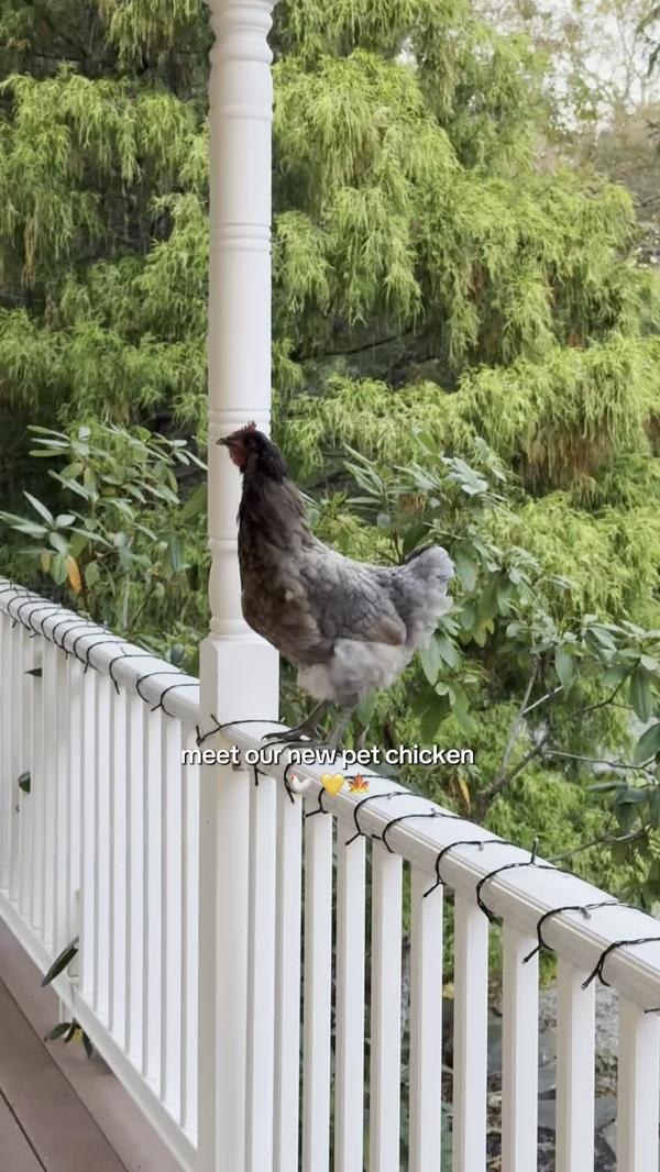 Post by gelly_nycoolmom