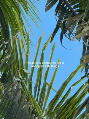 Post Cover Image
