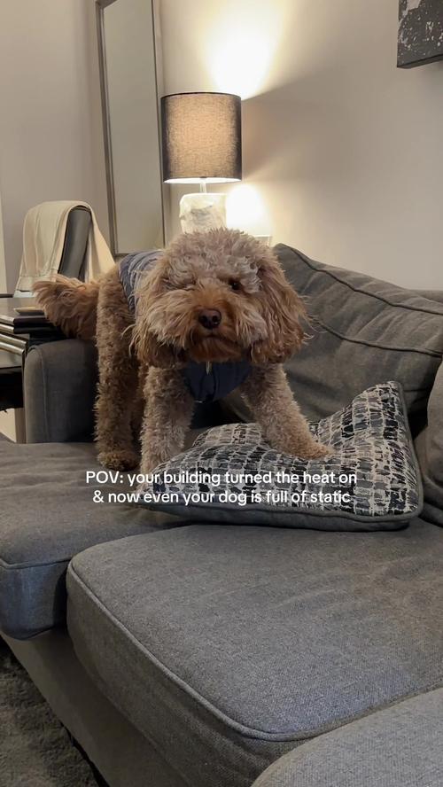 Post by soph_certified