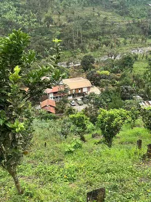 Post by milenanarvaezm