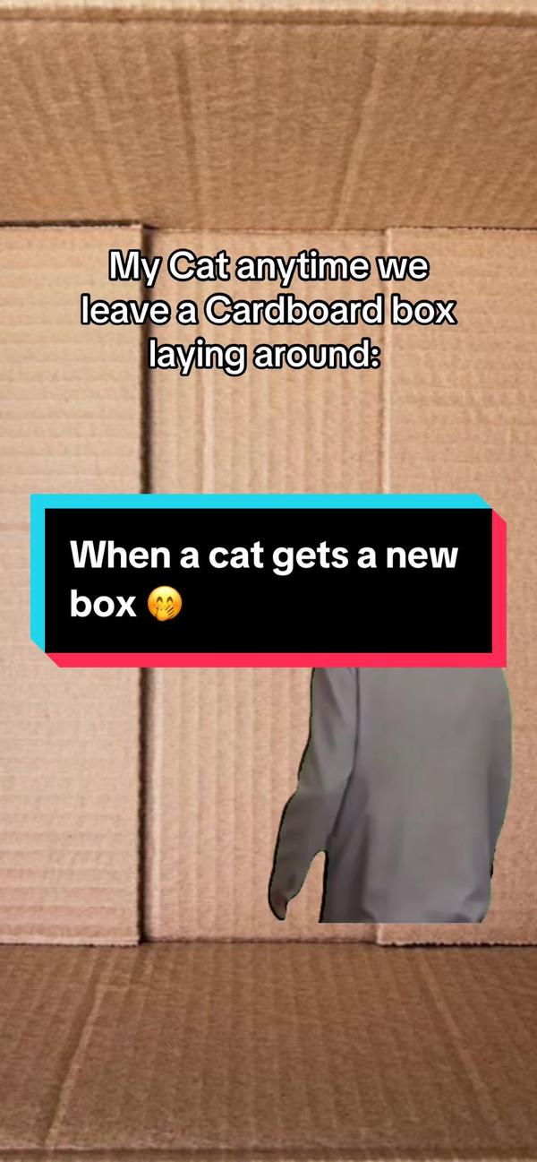 Post by the_travelling_brit