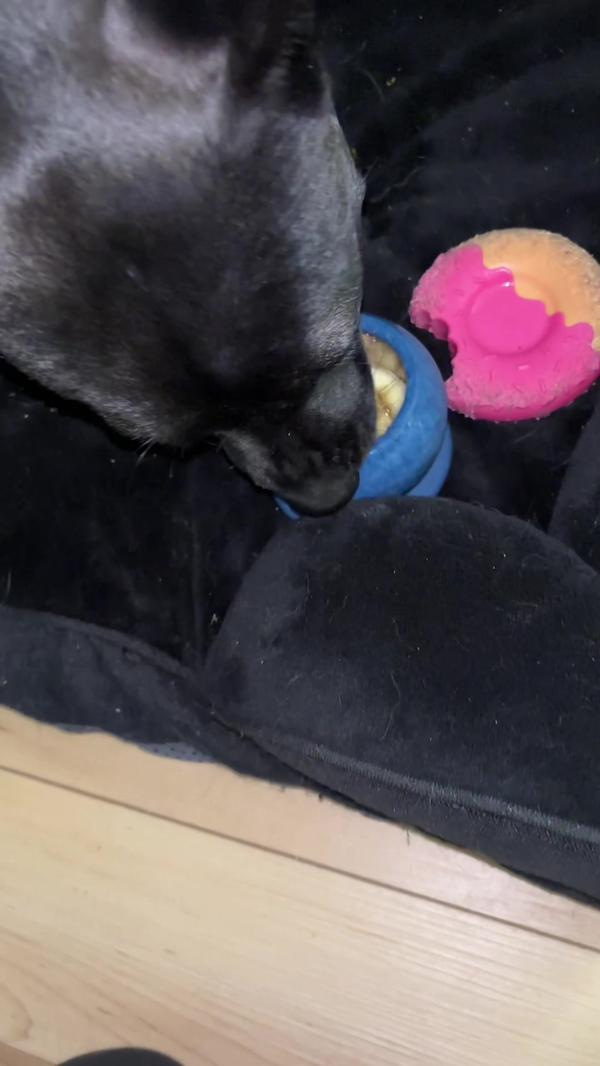 Post by positivelyapril