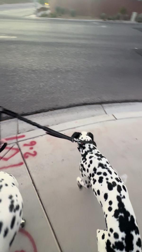 Post by missnanaloves