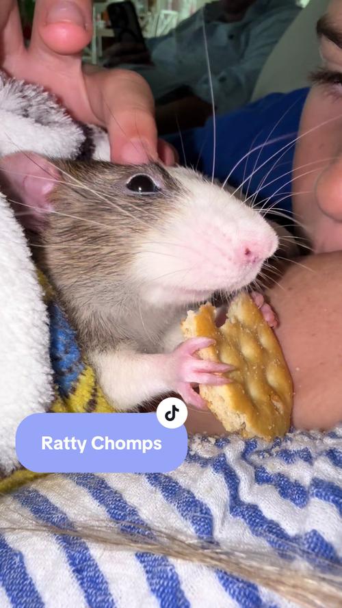 Post by kristin_the_mom