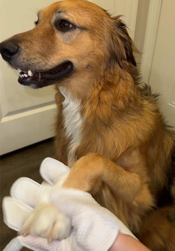 Post by jennymontiel1530