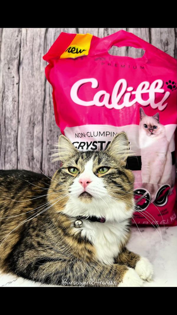 Post by burseygirl84reviews