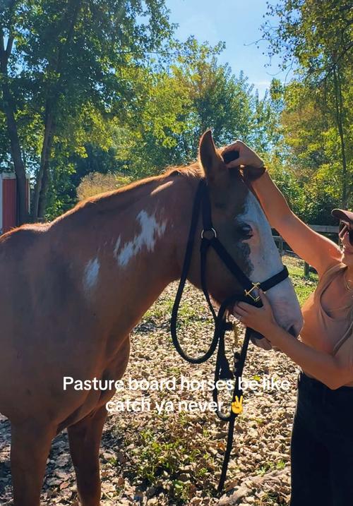 Post by mrskaylakempe