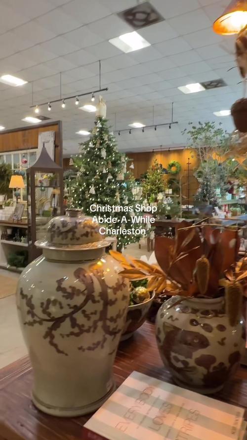 Post by thecharlestonlens