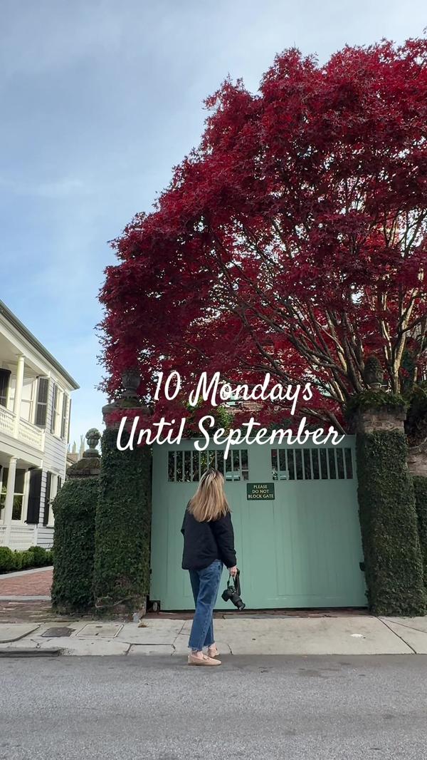 Post by thecharlestonlens