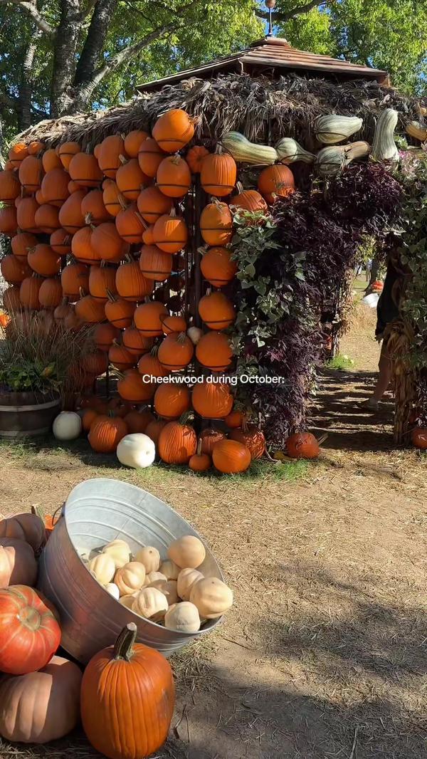 Post by kierstenhayley