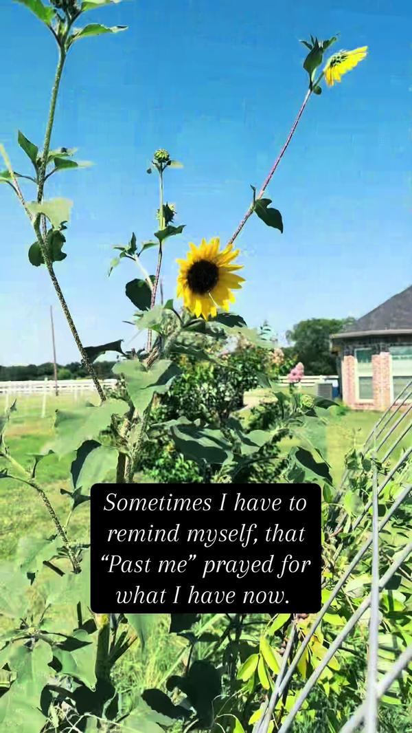 Post by ginlbjohnson