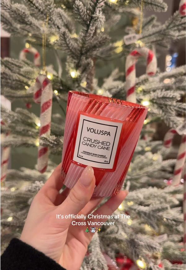 Post by giuliahajash