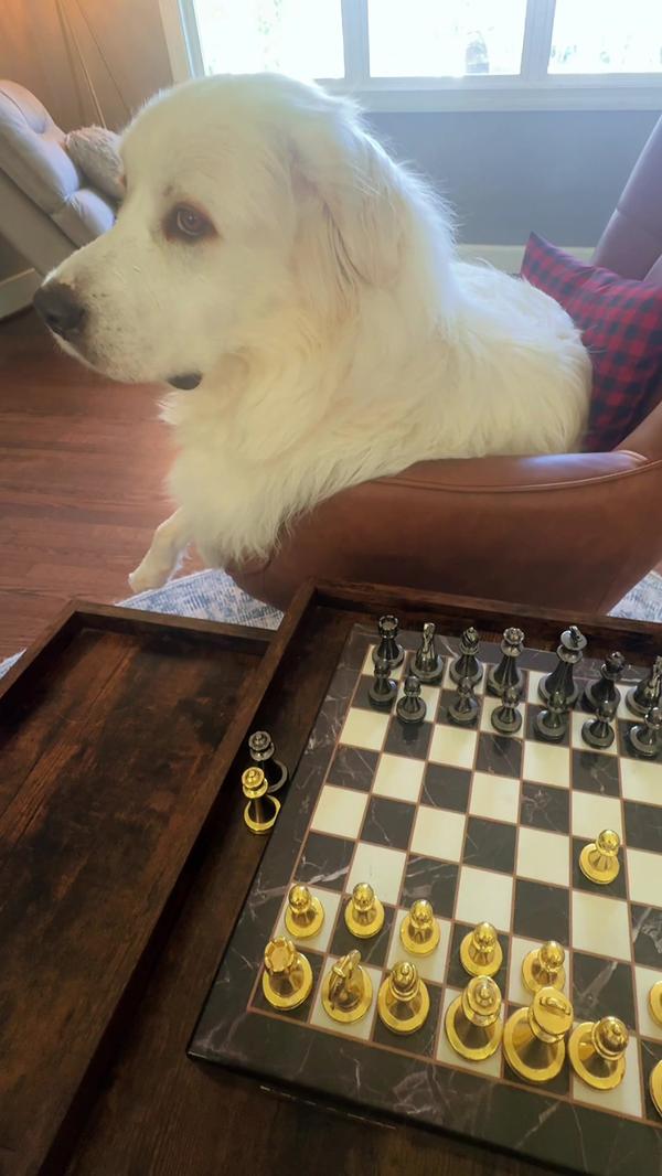 Post by dayanacervantes777