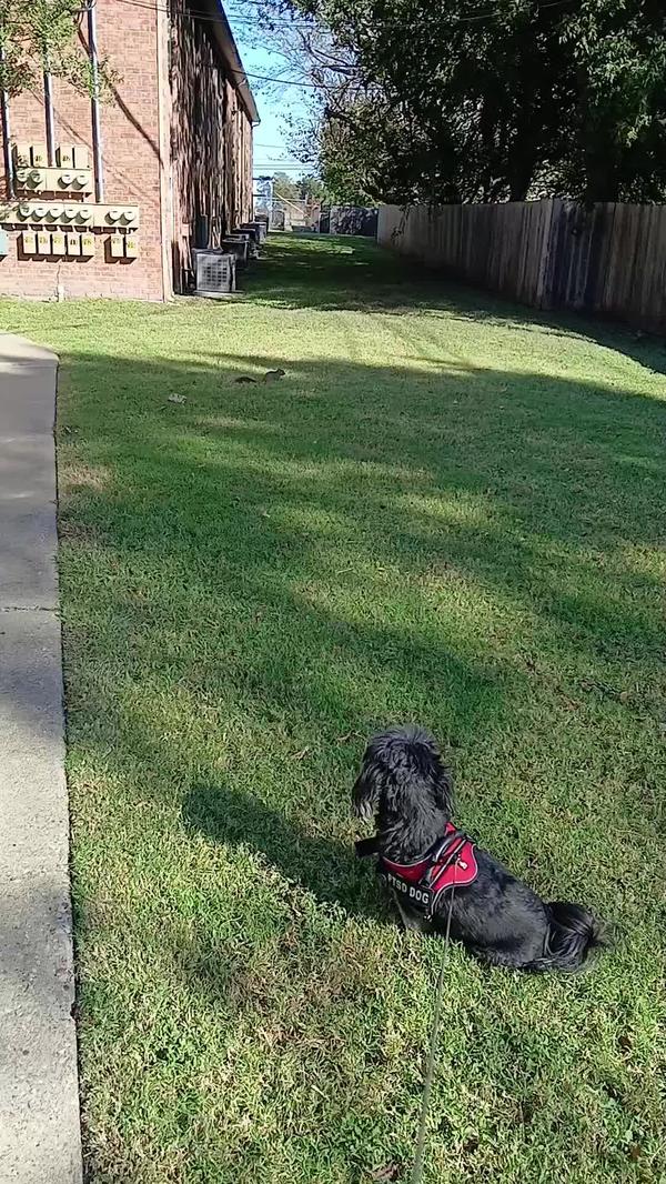 Post by christie3496