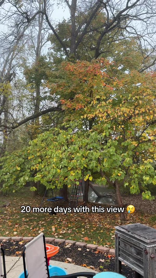 Post by valerievasmitchell