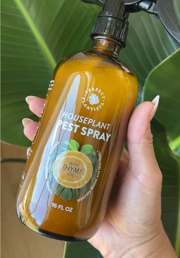 Post by mainegirlttshop