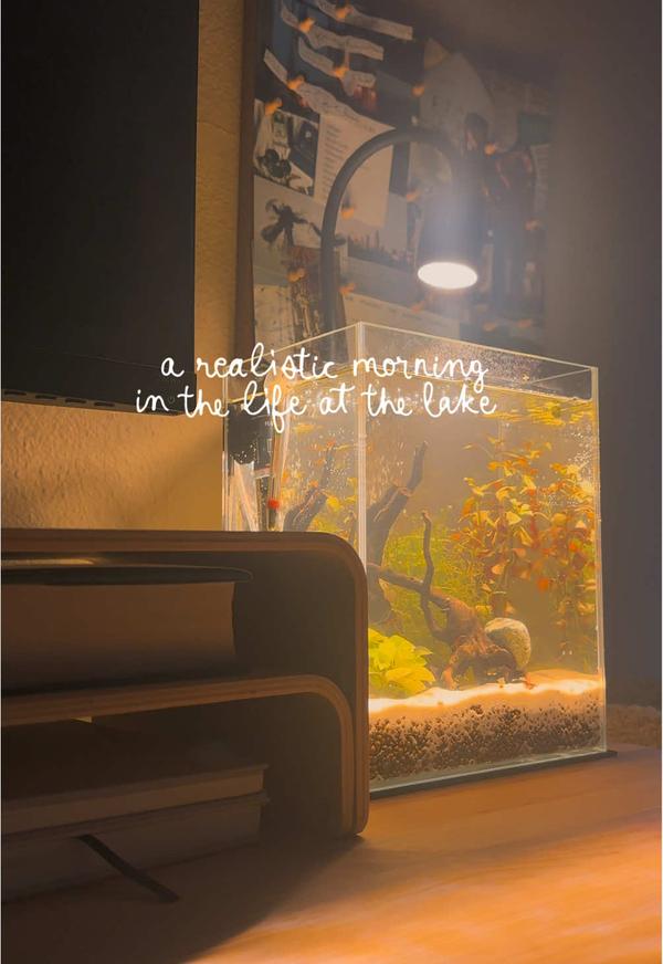 Post by servedbysara