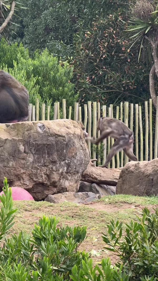 Post by anastacia.pg