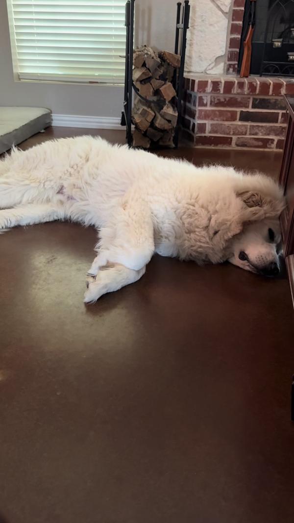 Post by ginlbjohnson