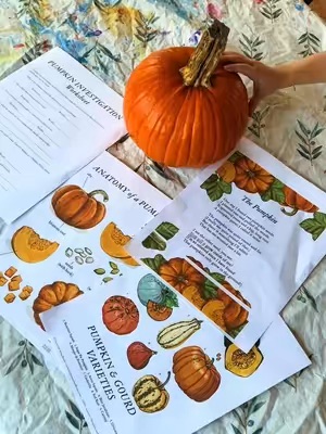 Post by simplysophia._