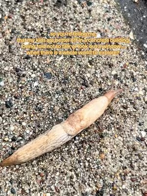 Post by simplysophia._