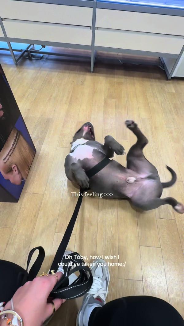 Post by kamily.medina