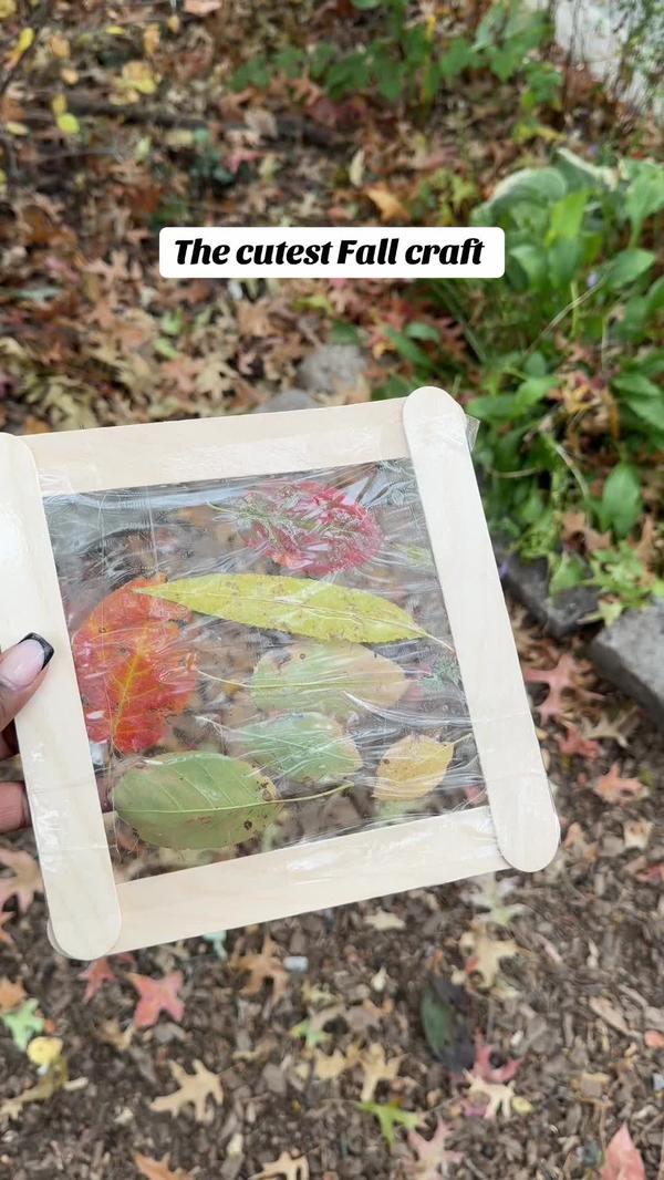 Post by teachingwithtk6