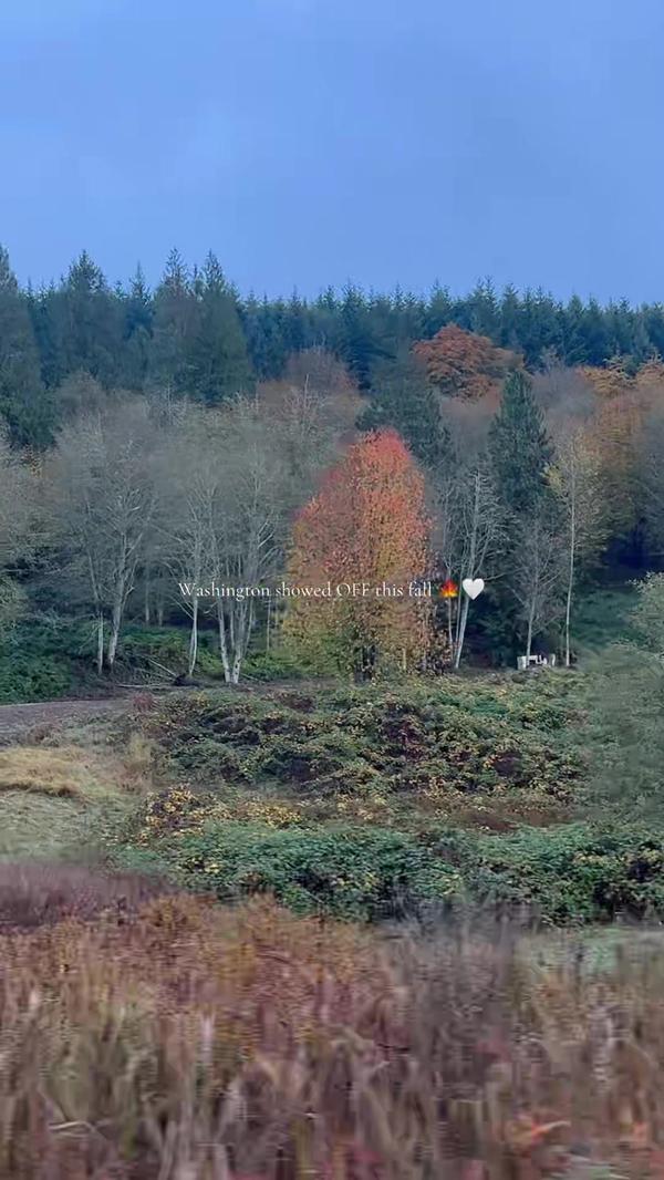 Post by madelynputney_