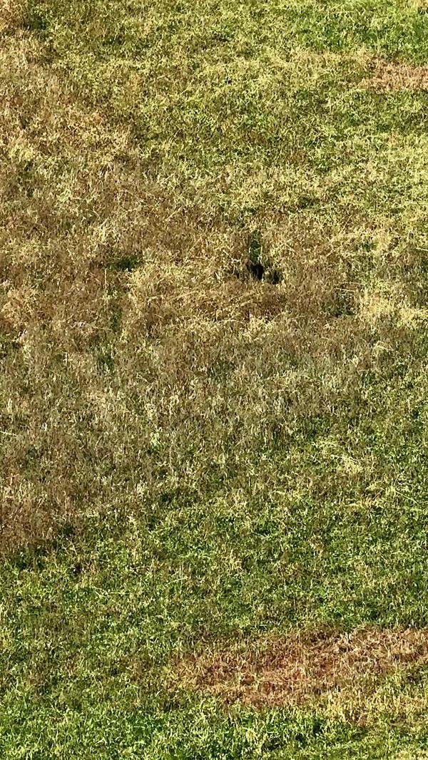 Post by honeybunnytwee