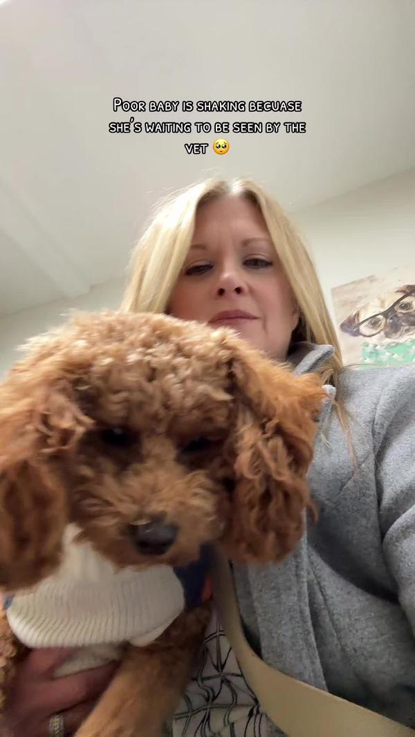 Post by life_love_health_dogs