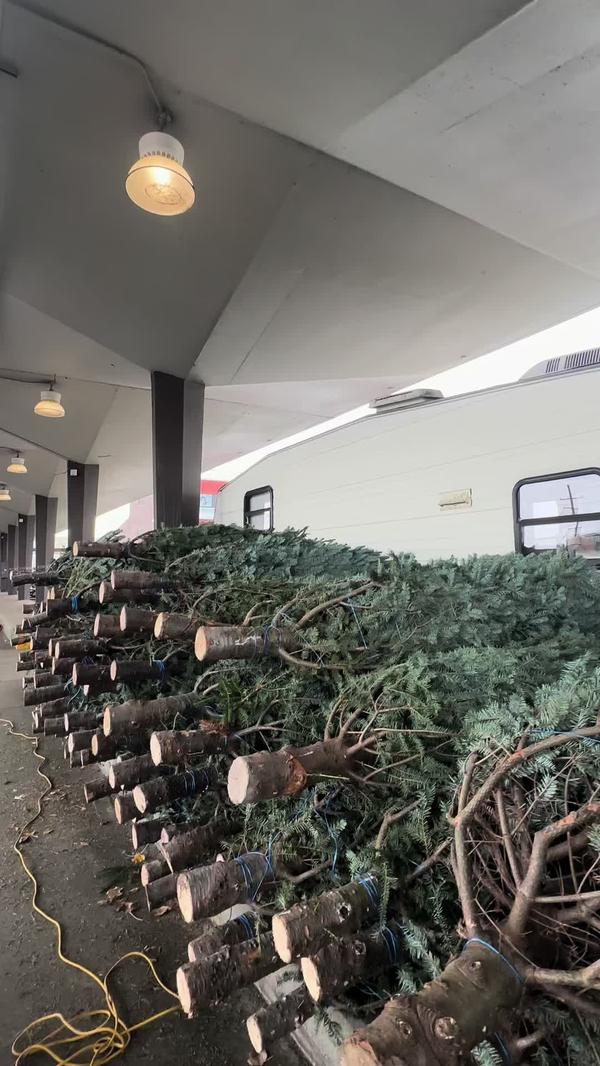 Post by the.lifestyle.paige