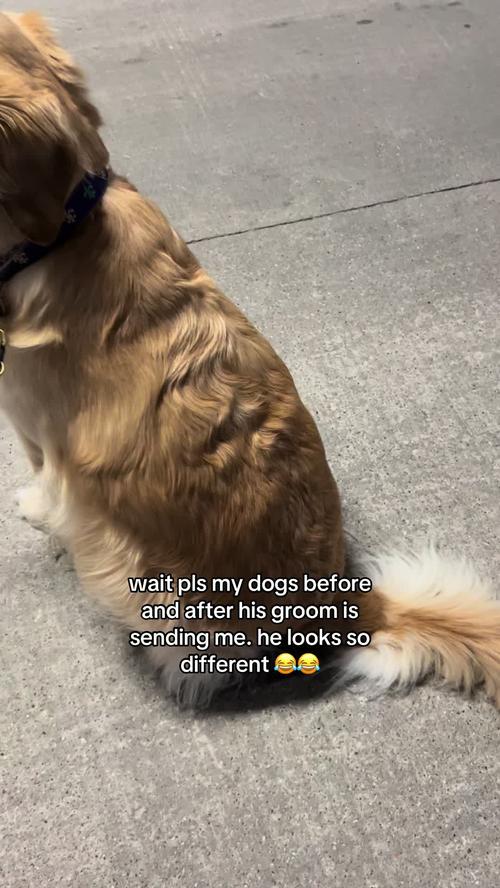 Post by paigerochellee