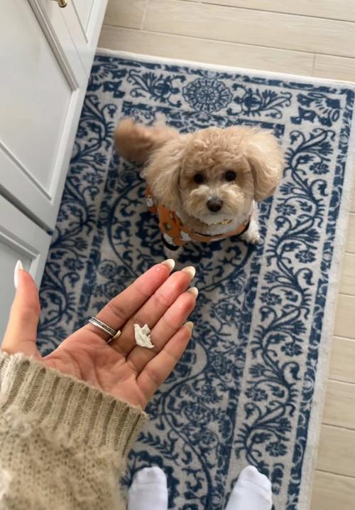 Post by victoria.dushaj