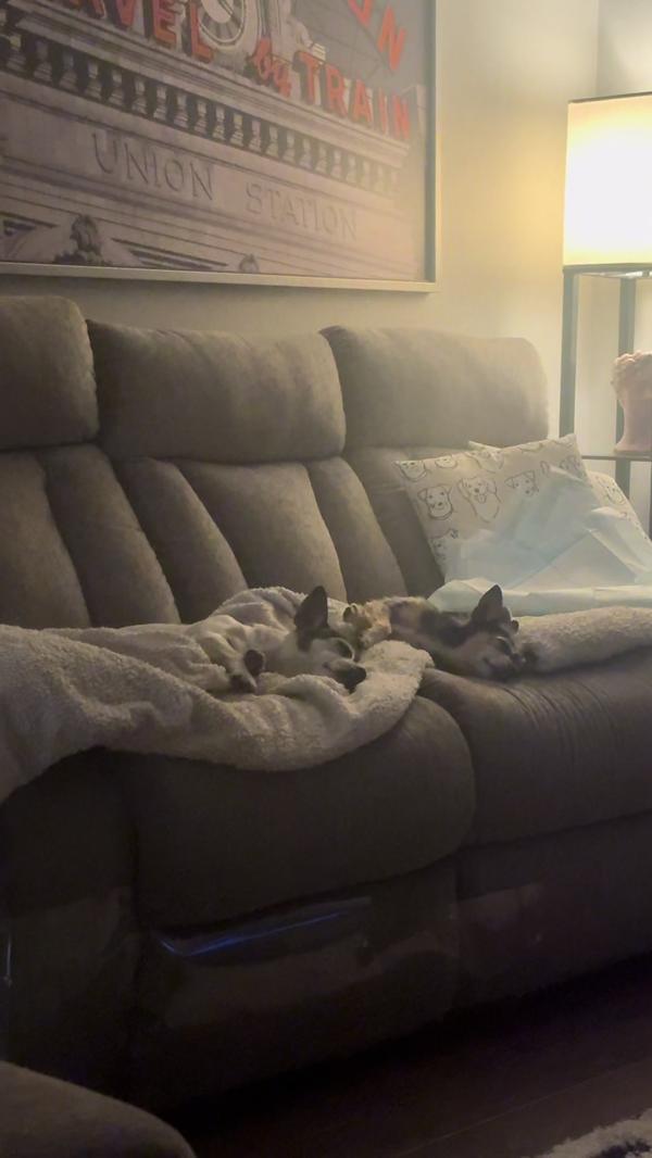 Post by emilyannegardner82