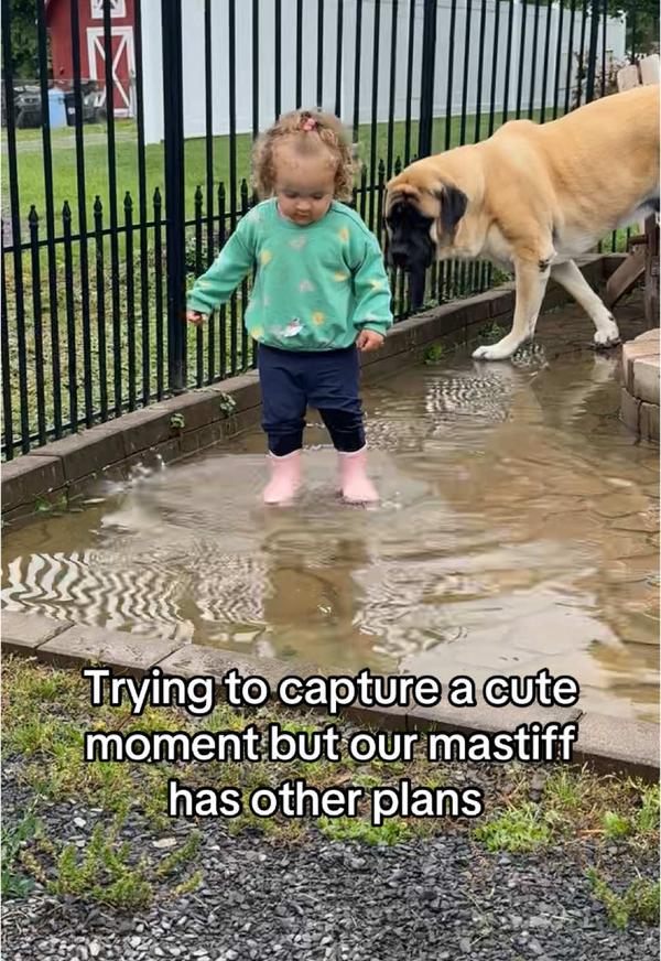 Post by meet.the.millers