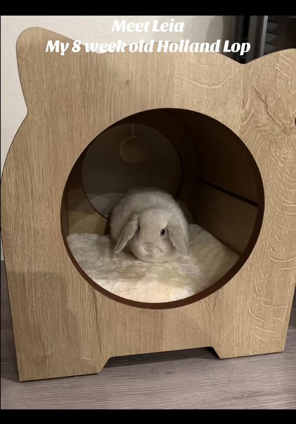 Post by emilysamantha330