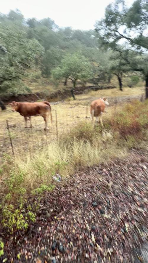 Post by donna.farizan