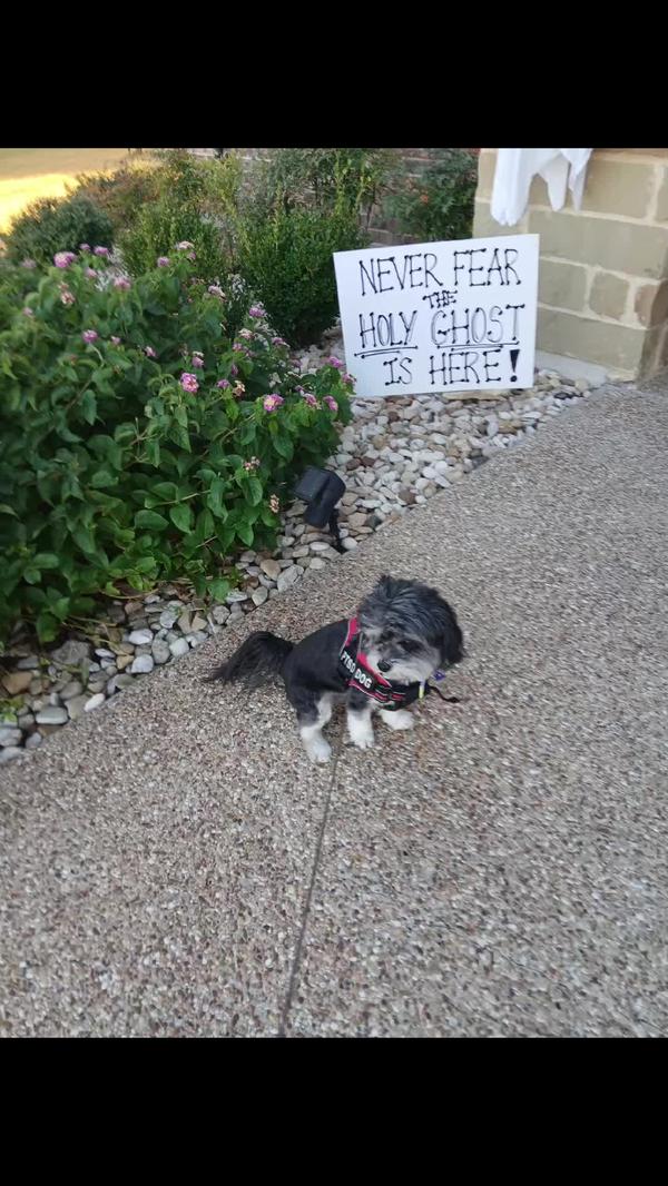 Post by christie3496