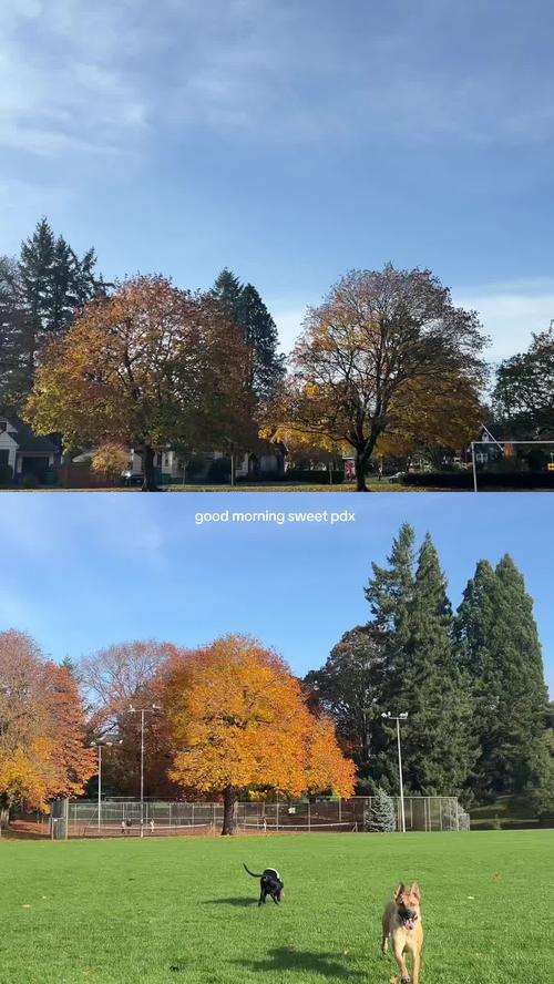 Post by juleswiththebob