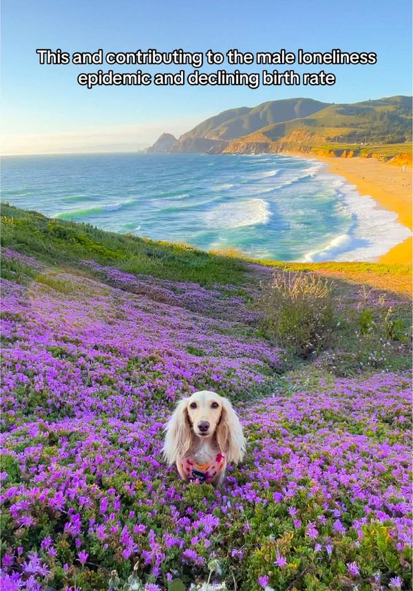 Post by clementinethedox