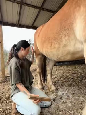 Post by judyonthefarm