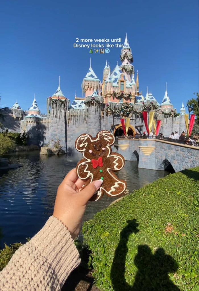 Post by ashleynflores_