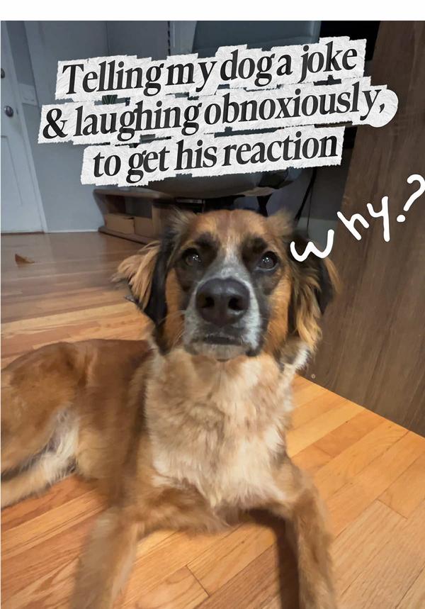 Post by lifewithjacqs