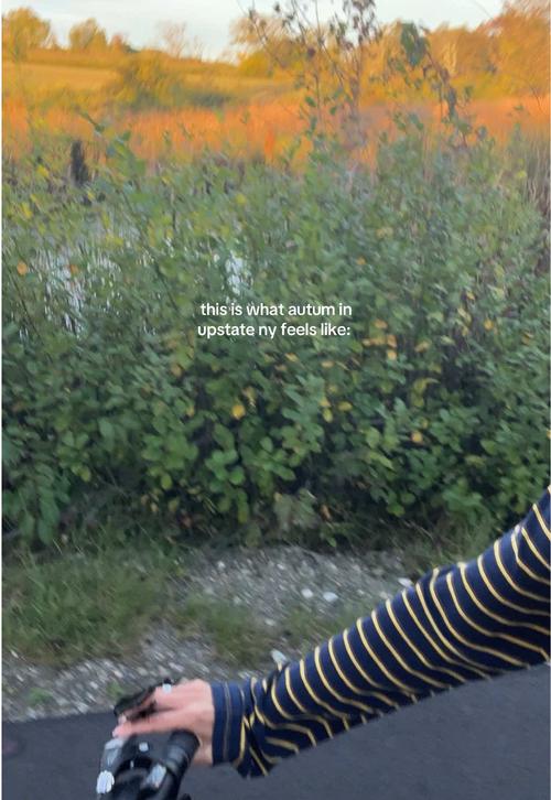 Post by kayyla.santana