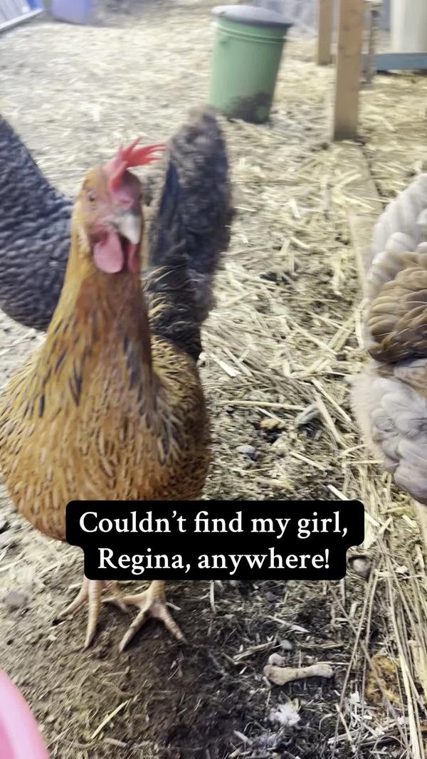 Post by mamamillerpnw