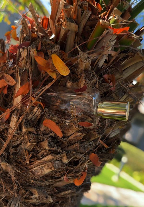 Post by valeryborisova_ugc