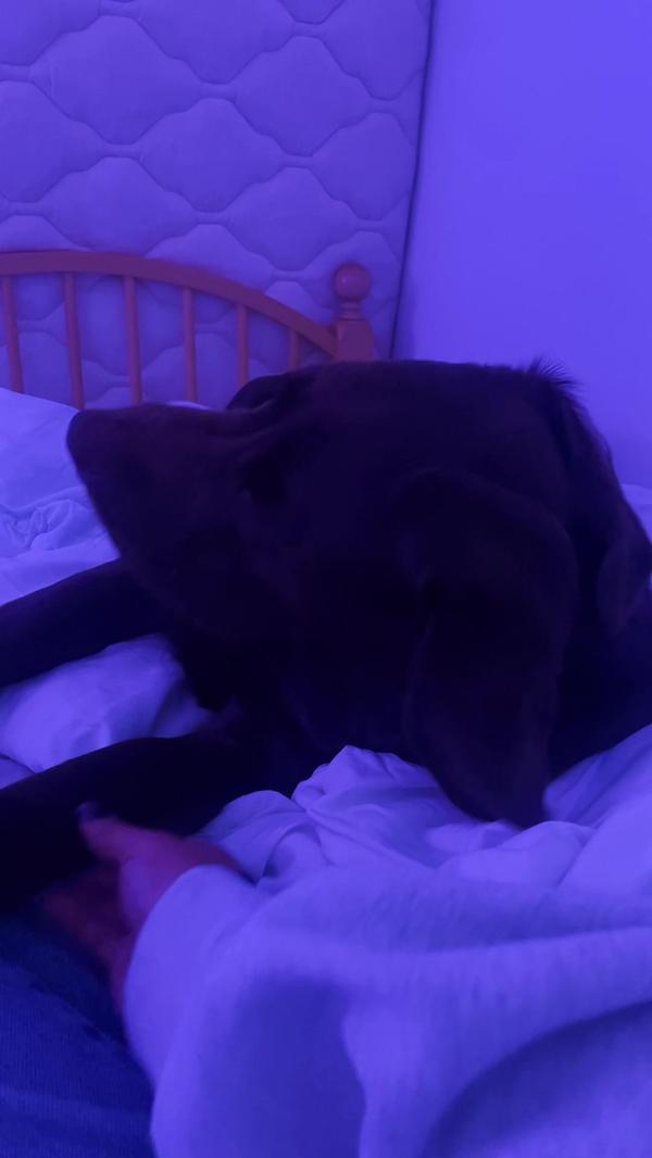 Post by inthevredzone