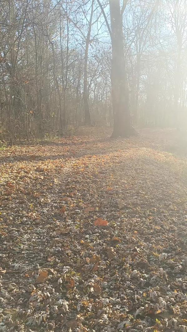 Post by arleana_sahm